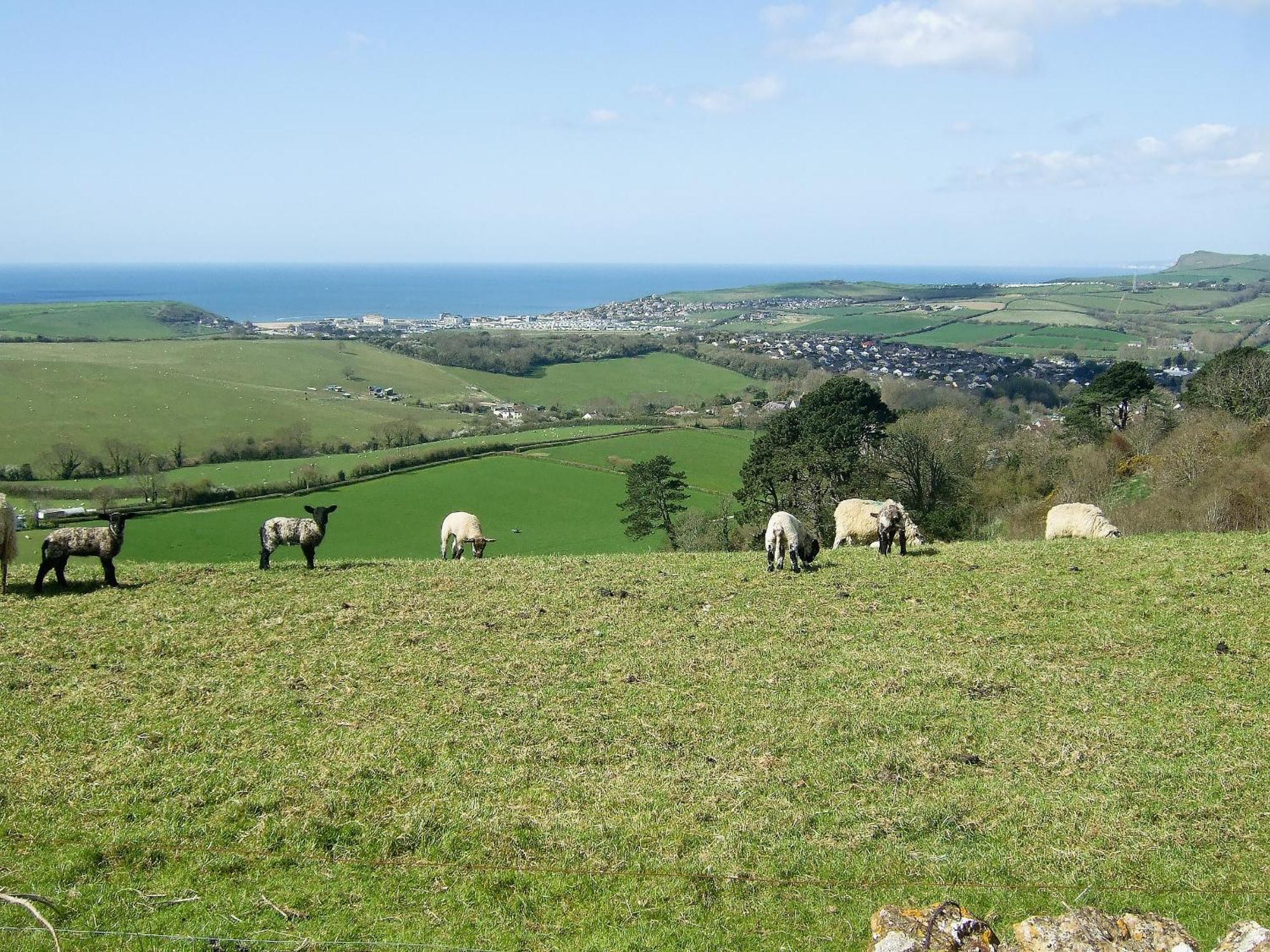Woodbrook Cottage Bridport Bagian luar foto